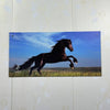 14 - 3D UV Horses Wall Hanging